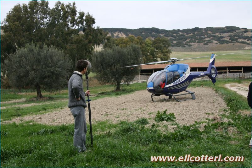 elifoto (108)